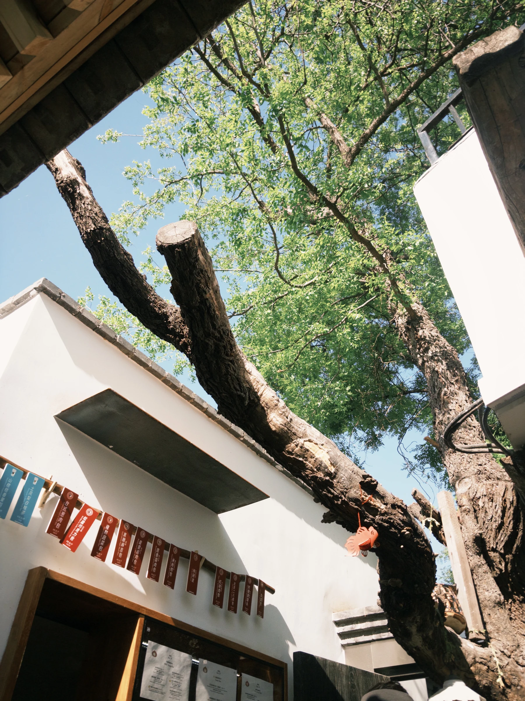 BAO29 courtyard flags